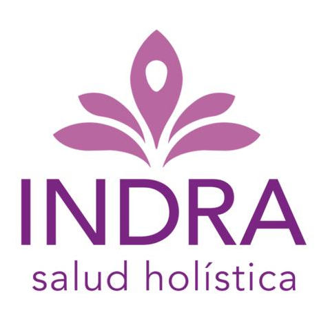 Indra Logo Indra