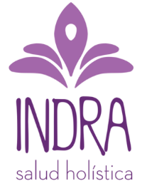 Logo Indra